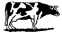 koe28.gif